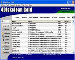 4DiskClean Gold 5.5