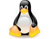 Linux Kernel 6.0.11