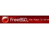 FreeBSD 13.1 / 12.3 / 11.4