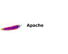 Apache HTTP Server 2.4.49