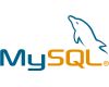 MySQL 8.0.28