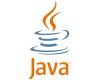 Java SE Development Kit (JDK) 19.0.1