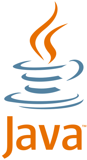 Java SE Development Kit (JDK) 19.0.1