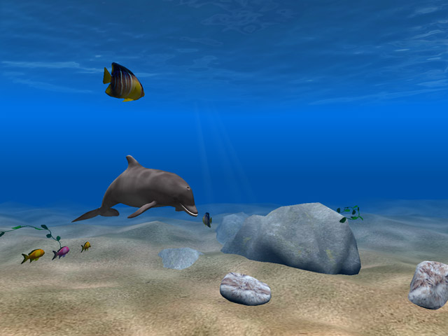 Dolphin Aqua Life 3D Screensaver 3.0.3