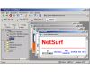 NetSurf 3.10